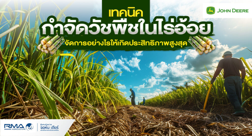 [John-Deere-content-web]-Cover-เทคนิคกำจัดวัชพืชในไร่อ้อย—Aug-2024